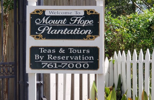 Highlands - Perkins Apartment | Comfy 1 bedroom near LSU College. Pet friendly!