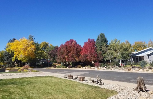 Loveland House | Comfy place to relax and connect, one mile from downtown