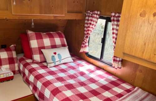 Show Low House | Comfy Vintage 1-bedroom RV by national forest