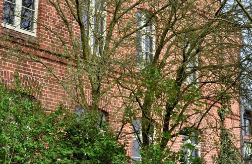 Oberhavel House | Complete guesthouse on the Finow Canal (former school from 1875) for 12 people