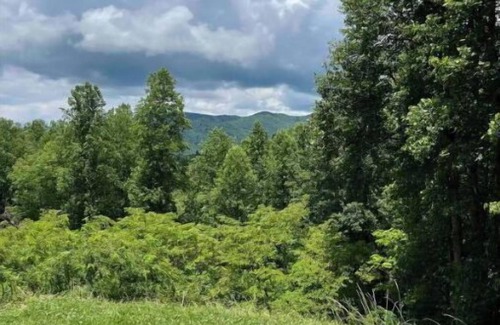 Sylva House | Complete Serenity