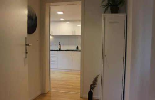 St. Gallen Apartment | Completely renovated apartment near the train station and the center