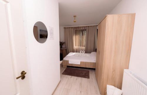 Baile Herculane House | Complex Stoican