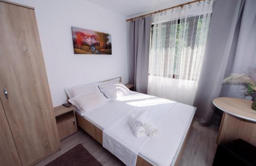 Baile Herculane House | Complex Stoican