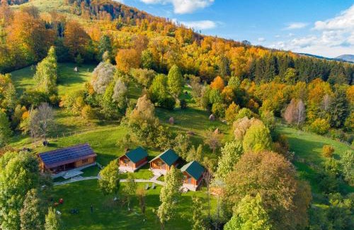 Tesila Other | Complex turistic Traisteni din Valea Doftanei