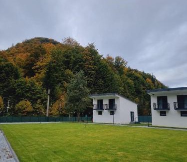 Bistrita Bargaului Other | Complex WhiteBerg Haus Colibita