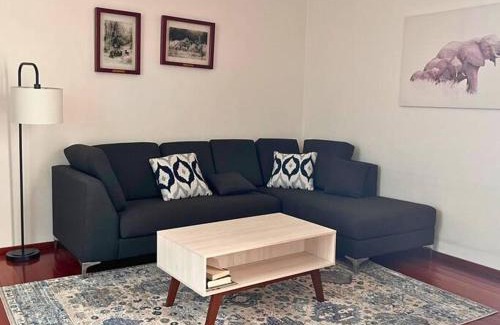 Hipodromo Apartment | Condesa Residence Amsterdam D Sunny 2Bed 1Bath Apt in Condesa