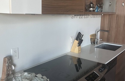 Griffintown Apartment | Condo in the heart of Griffintown