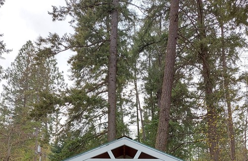 Worley Cabin | Conkling Marina and Resort