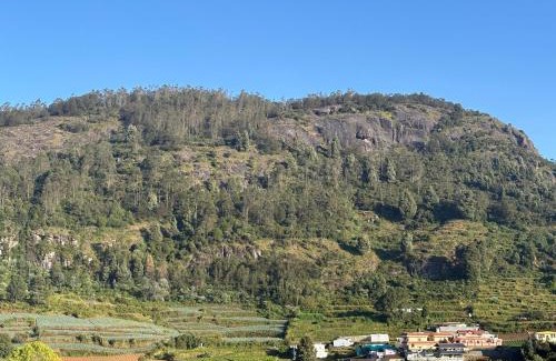 Ooty House | Connect cottage & villa