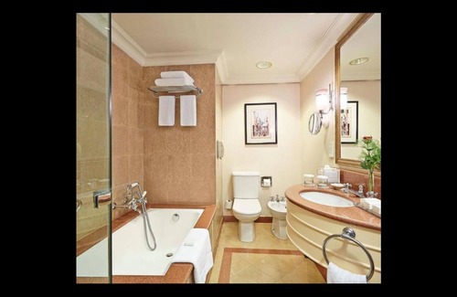 Downtown Cairo Bed & Breakfast | Conrad Cairo,twin classic Room, Partial Nile View