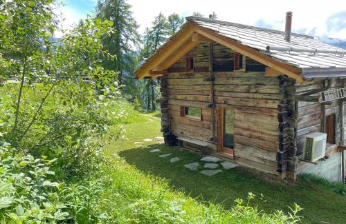 Mase Ski Chalet | Contemporary Chalet in Mont-Noble with Mountain View.