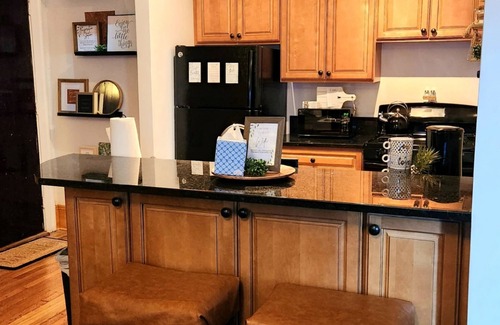 Cleveland Apartment | Contemporary Coventry:1 bd w Fireplace. NEAR Case, Cle Clinic, UH, downtown!