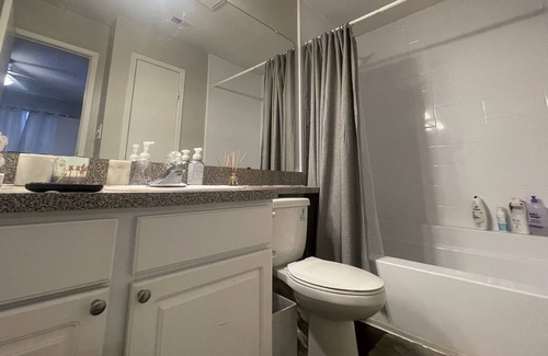 Buford Highway Apartment | Contemporary one bedroom suite