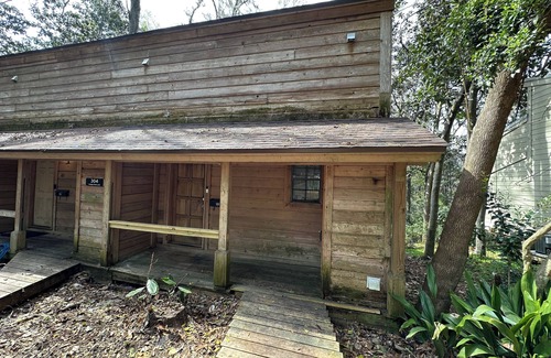 Tallahassee House | Convenient, Clean, Cozy, Cheap 5