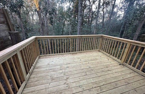 Tallahassee House | Convenient, Clean, Cozy, Cheap 3