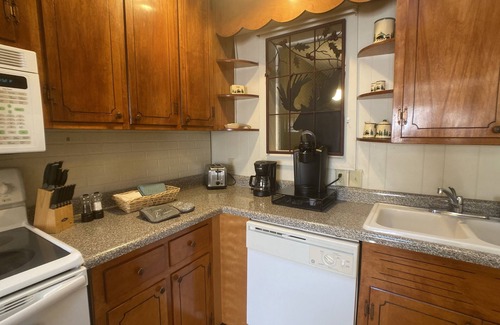 Bryson City Apartment | Convenient Downtown Location!