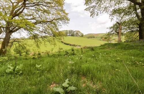 Gwynedd- Snowdonia Cottage | Conwy Pod