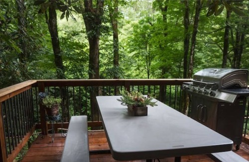 Waynesville Apartment | Cool Creekside Cabin