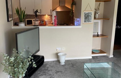 Glasgow Westend Apartment | COP26 @ The Harbour..