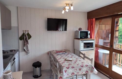 Les Carroz-d'Araches Apartment | Coquet Studio de 4 personnes aux Carroz - Balcon et Wifi