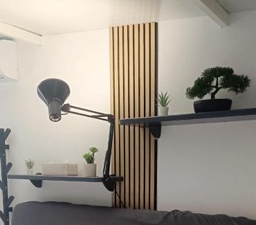 Coin Apartment | Coqueto Estudio en plena naturaleza en Río Grande