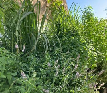 Matino Bed & Breakfast | Corte Baracca B&B Suite