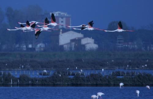 Comacchio House | Corte Spina