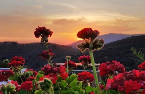 Algarinejo House | Cortijo Chaparro near iznajar
