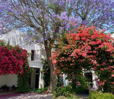 Puerto Real House | Cortijo de Guerra