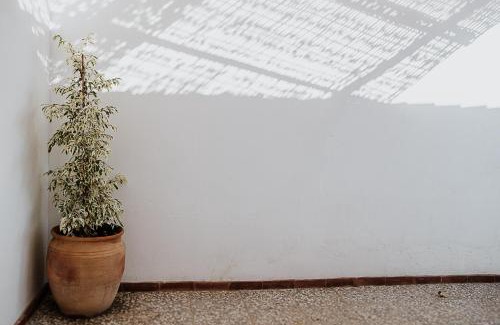 Carmona House | Cortijo Santa Clara