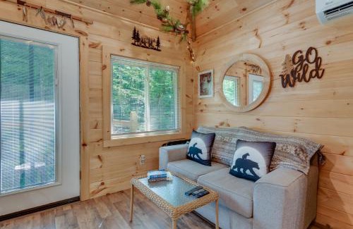 Cosby Apartment | Cosby Wilderness Cabin Studio with Fire Pit