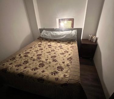 Ploiesti House | Costin
