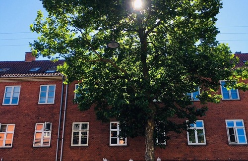 Amager Apartment | Cosy 1BR duplex with terrace and fireplace