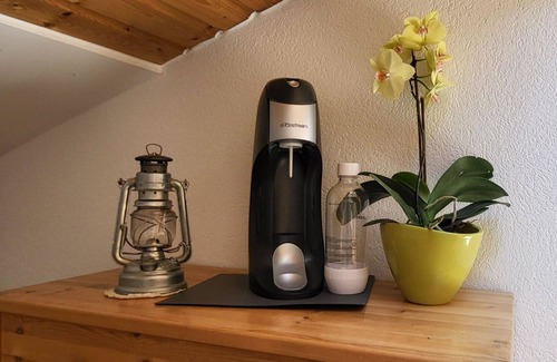 Fiesch Apartment | Cosy apartment for 5 guests with WIFI and TV