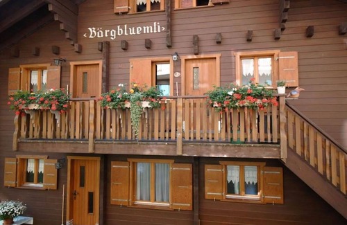Bettmeralp Apartment | Cosy apartment for 2 guests with WIFI, TV and balcony