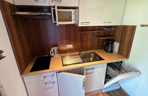 Sankt Gallenkirch Apartment | Cosy apartment in Gortipohl with garden