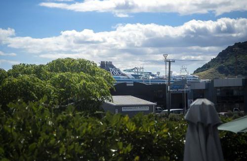 Mount Maunganui Bed & Breakfast | Cosy Apartment in beachside location