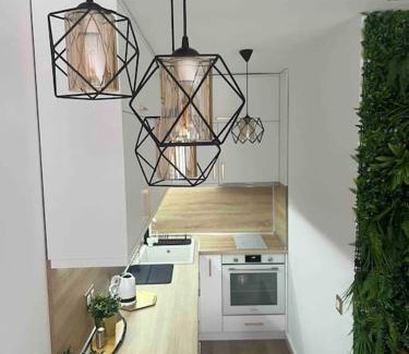 Shiligarnika Apartment | Cosy Appartement Green Life Bansko