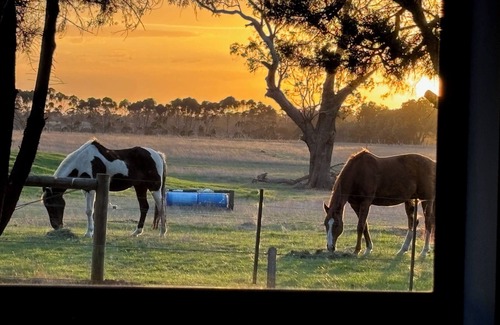 Freshwater Creek Apartment | Cosy Bellbrae Farm Studio within pedalling distance of surfcoast beaches