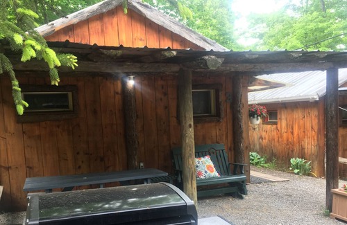 Trumansburg Cabin | Cosy lake propery cabin sleeps 4!