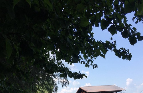 Trumansburg Cabin | Cosy lake propery cabin sleeps 4!