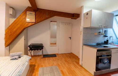 Biebrich Apartment | Cosy Old Studio at Schlosspark