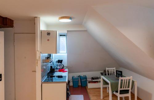 Biebrich Apartment | Cosy Old Studio at Schlosspark