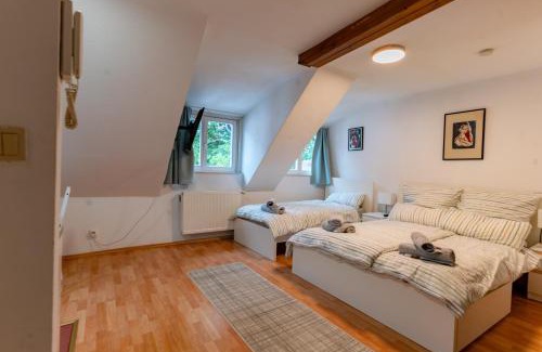 Biebrich Apartment | Cosy Old Studio at Schlosspark