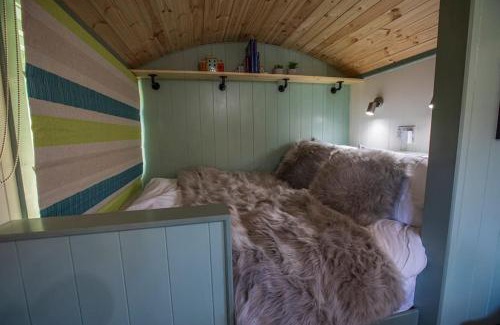 Alness House | Cosy Shepherds Hut with hot tub in the Scottish Highlands