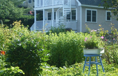 Southwest Harbor Cottage | Cottage near Acadia National Park, Easy Walk to Harbor and Town