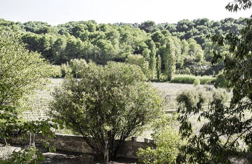 Montagnac House | Cottage on a wine estate 10kms from the Etang de Thau