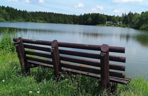Clausthal-Zellerfeld House | Cottage on the forest lake