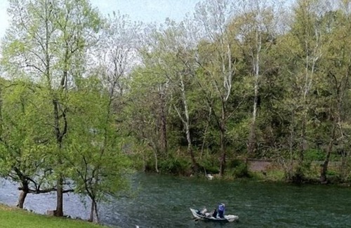 Bristol Cabin | Cottage on the South Holston River-900 Ft of Private River Frontage